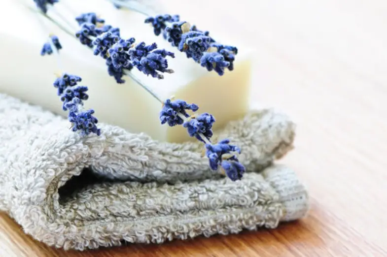 best lavender shaving soap