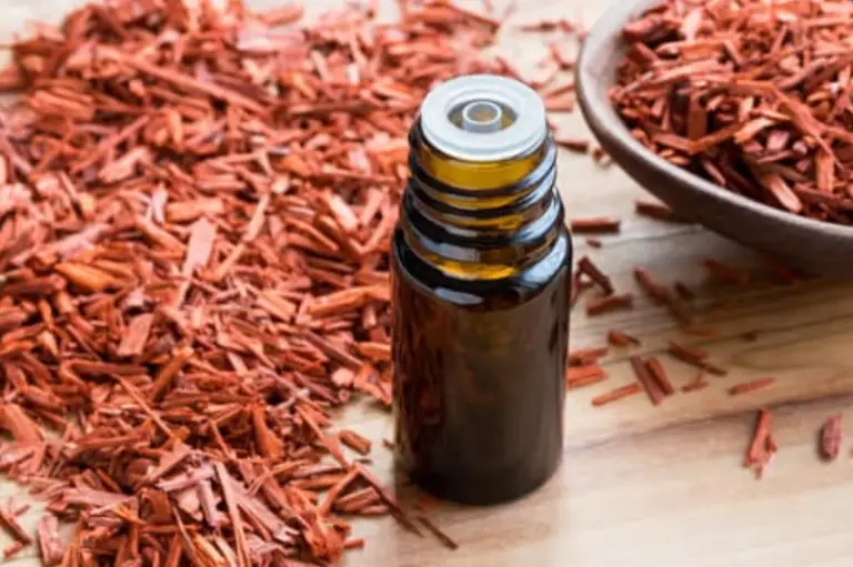 what-does-sandalwood-smell-like-and-it-s-benefits-effects